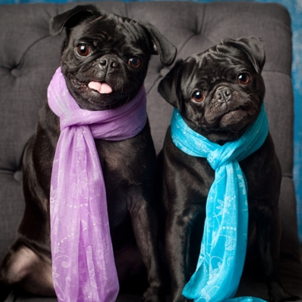 SCARF-A-PALOOZA!           3 for $20 add to bundle